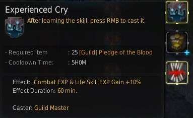 BDO XP Boost: Guild Skill Experienced Cry