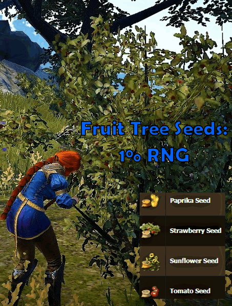 BDO Gathering Seeds from a Fruit Tree
