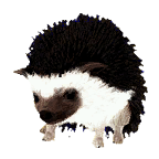 BDO Hedgehog Pet that is colored white