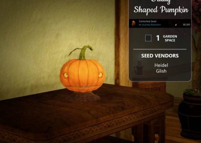 BDO Oddly Shaped Pumpkin from Farming Seeds