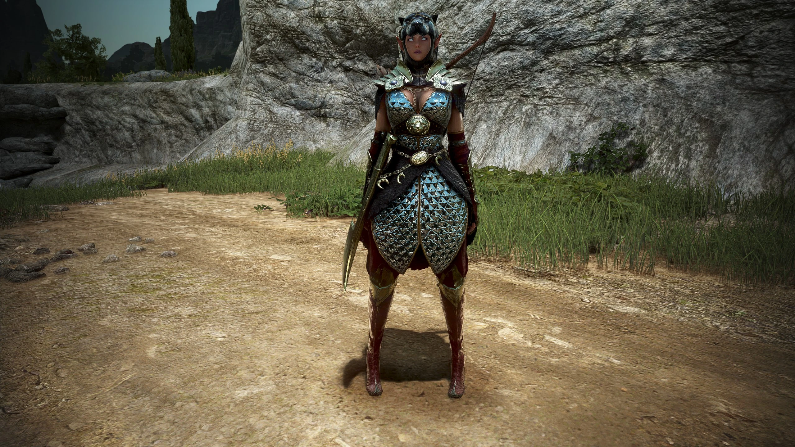 Black Leopard Armor front Black Leopard Armor front