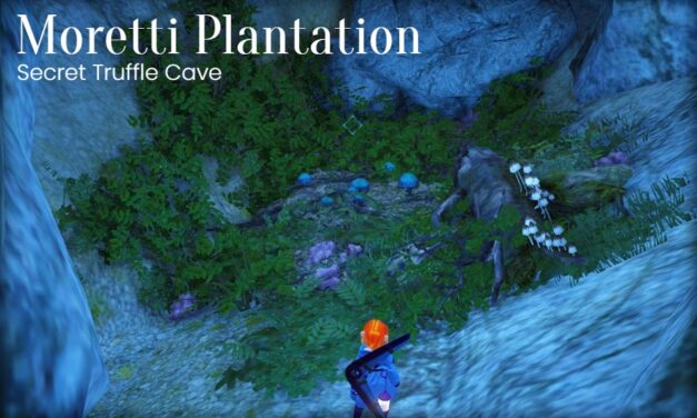 Secret Cave – Moretti Plantation – Truffle Mushrooms
