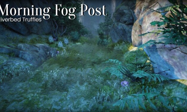 Drieghan Riverbed – Morning Fog Post – Truffle Mushrooms