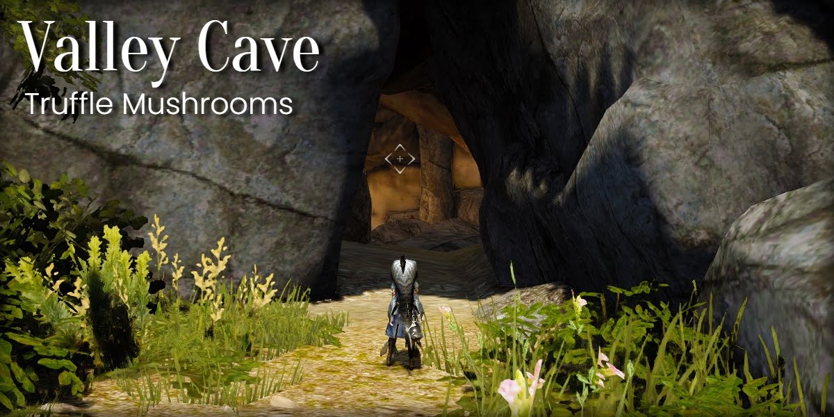 Secret Cave – Watchtower – Truffle Mushrooms