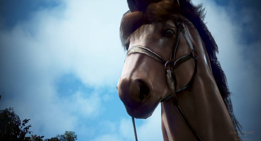 BDO Horse Leveling Guide: EXP, Routes, & Methods