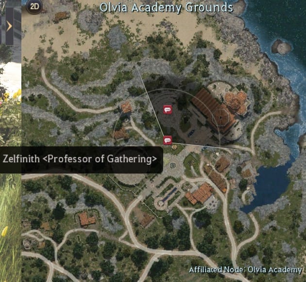 Zelfinith gathering professor location